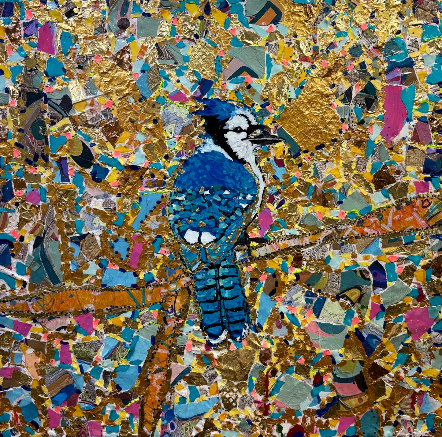 Colourful Bluejay