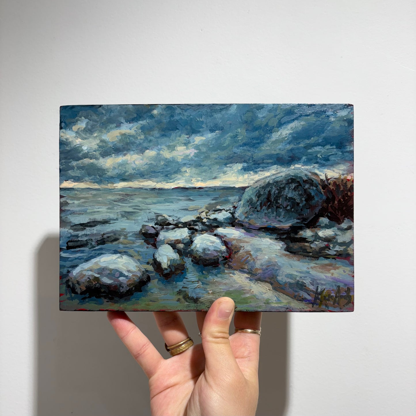 Back Cove Boulders