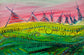 Nine Wigwams, 2015