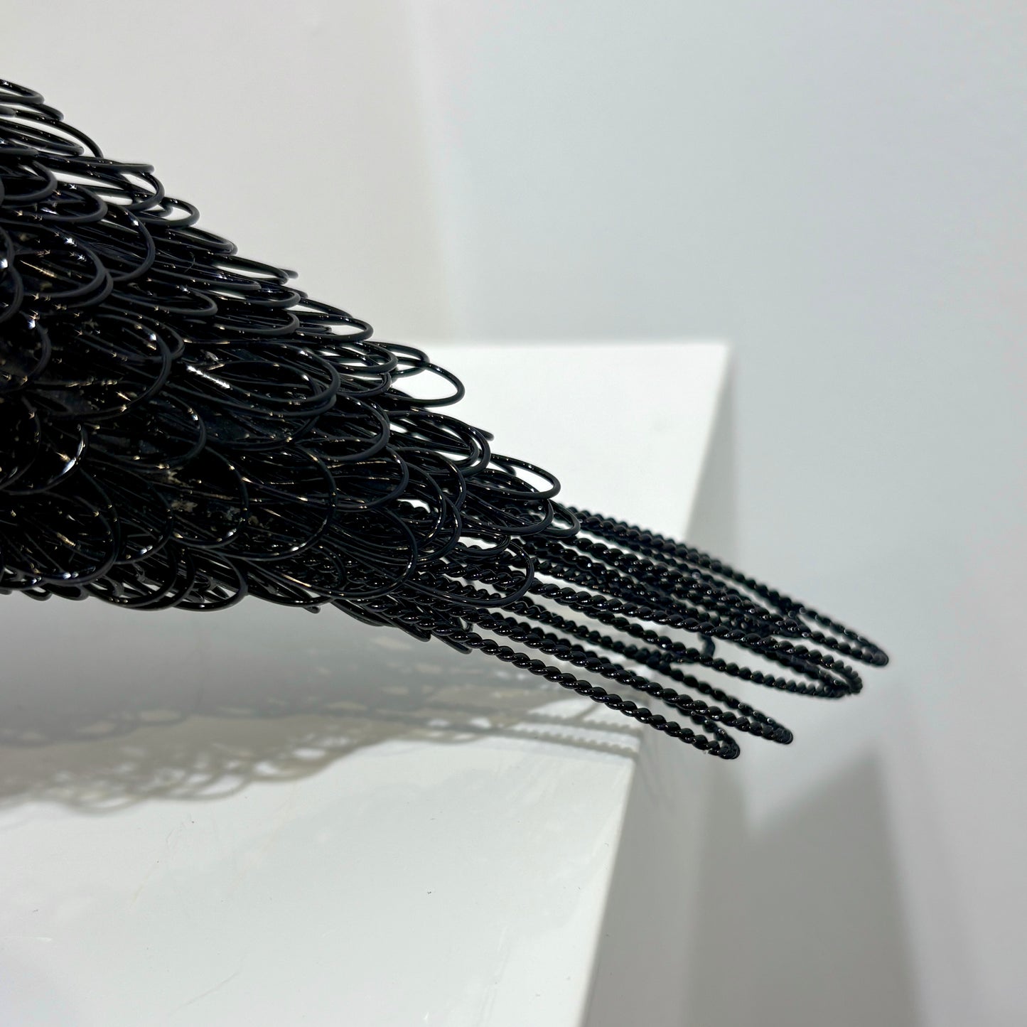 Cyrious Black (Crow)