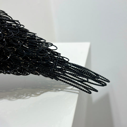 Cyrious Black (Crow)