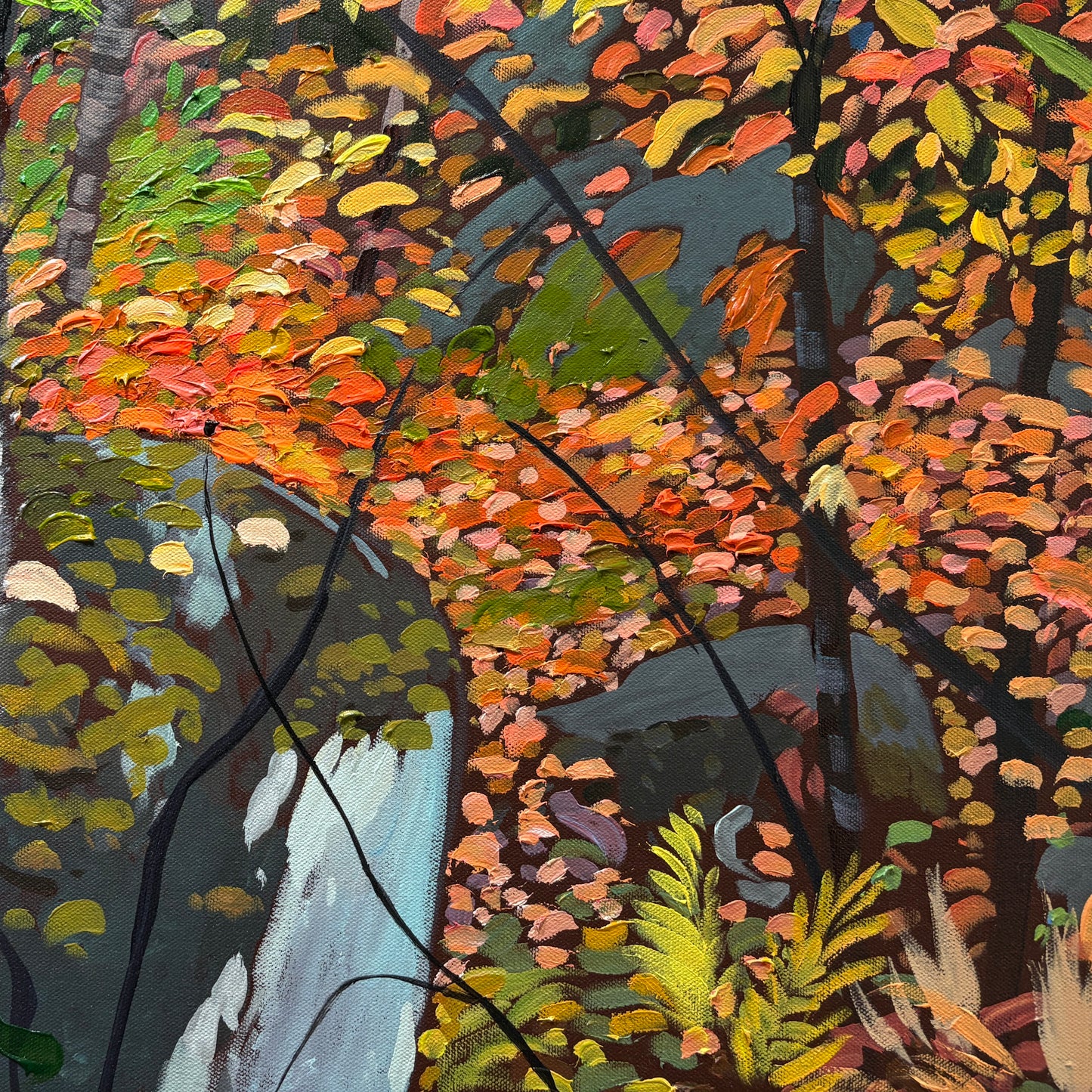 Frog Pond, Fall