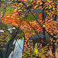 Frog Pond, Fall