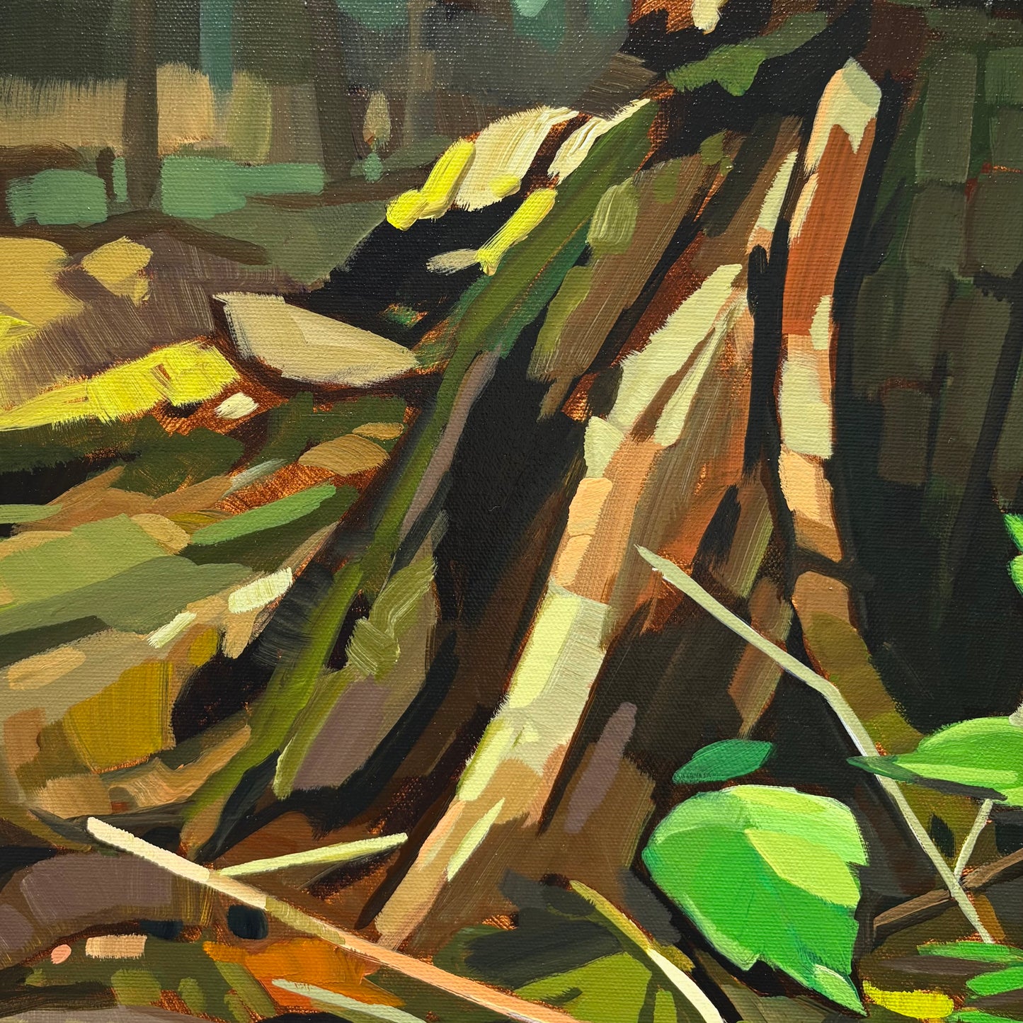 Stump Hollow