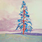 Blue Spruce