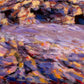 Sedimentary Study