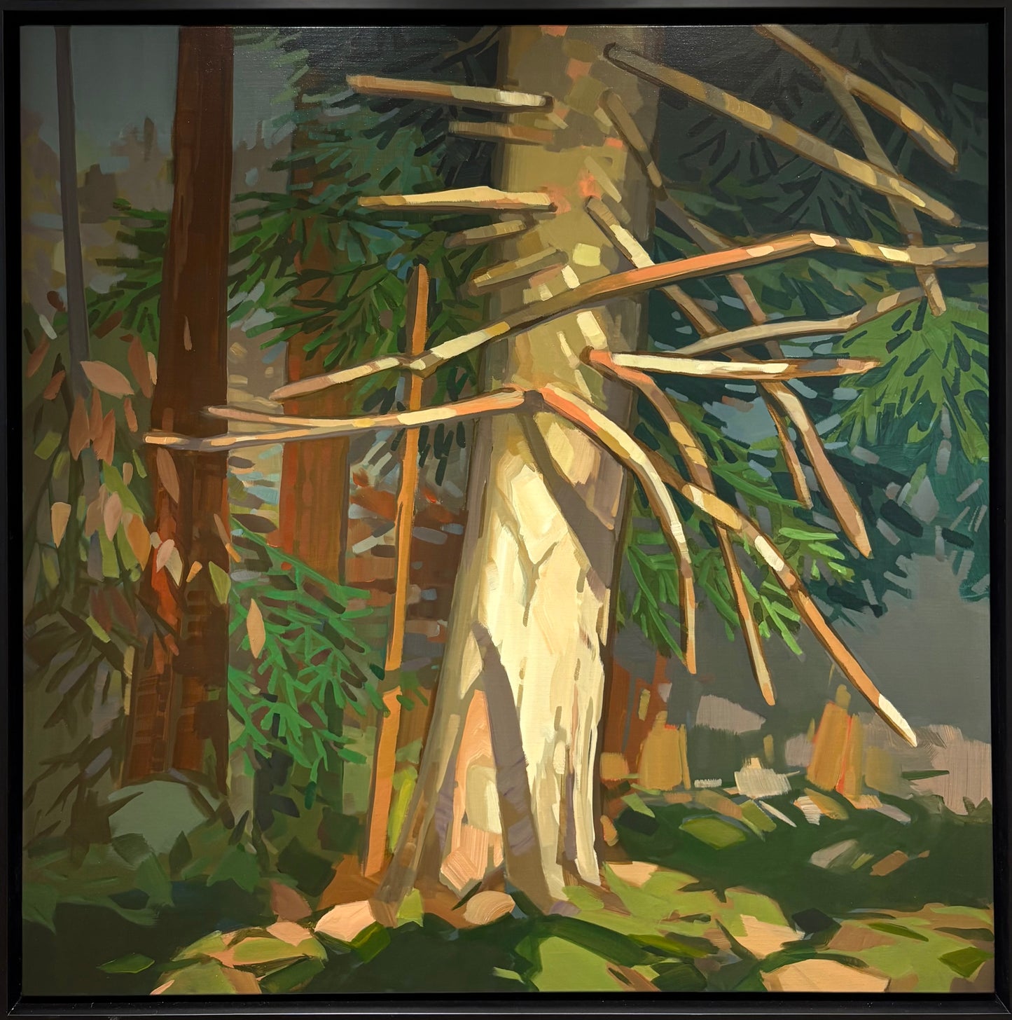 Climbing Tree