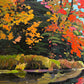 Fall on the Mersey