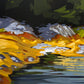 Quiet Water