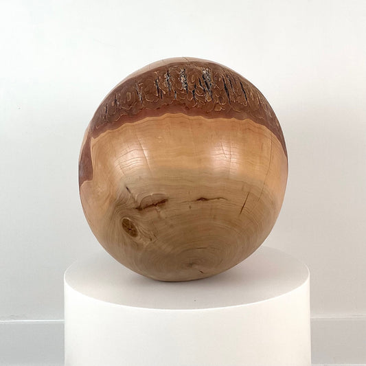 Elm II