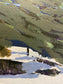 Still They Stand (study)