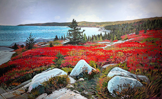 Herring Cove Views