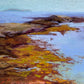 Inlet Near Polly's Cove
