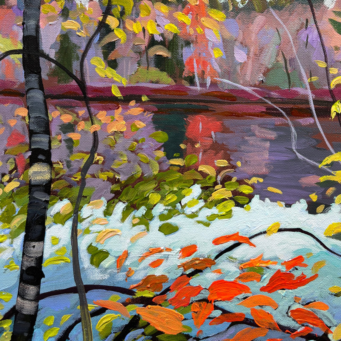 Frog Pond View