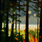 Fire Shimmer
