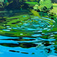 Cool Splash
