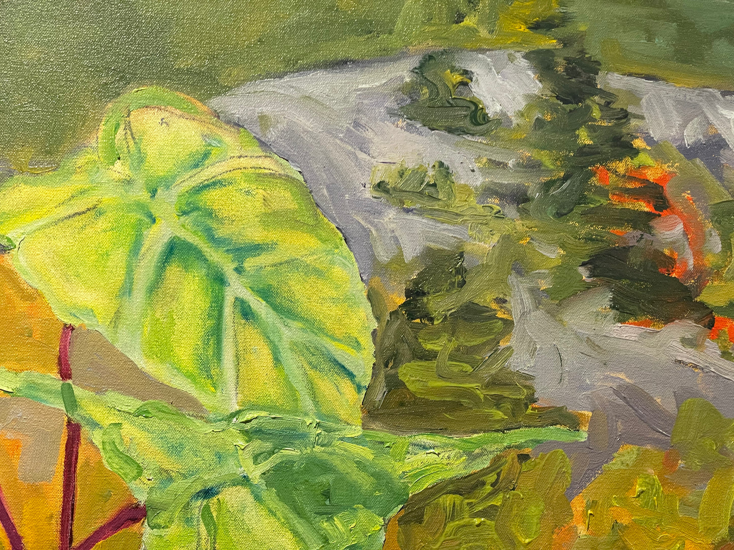 Looking Toward the Meadow