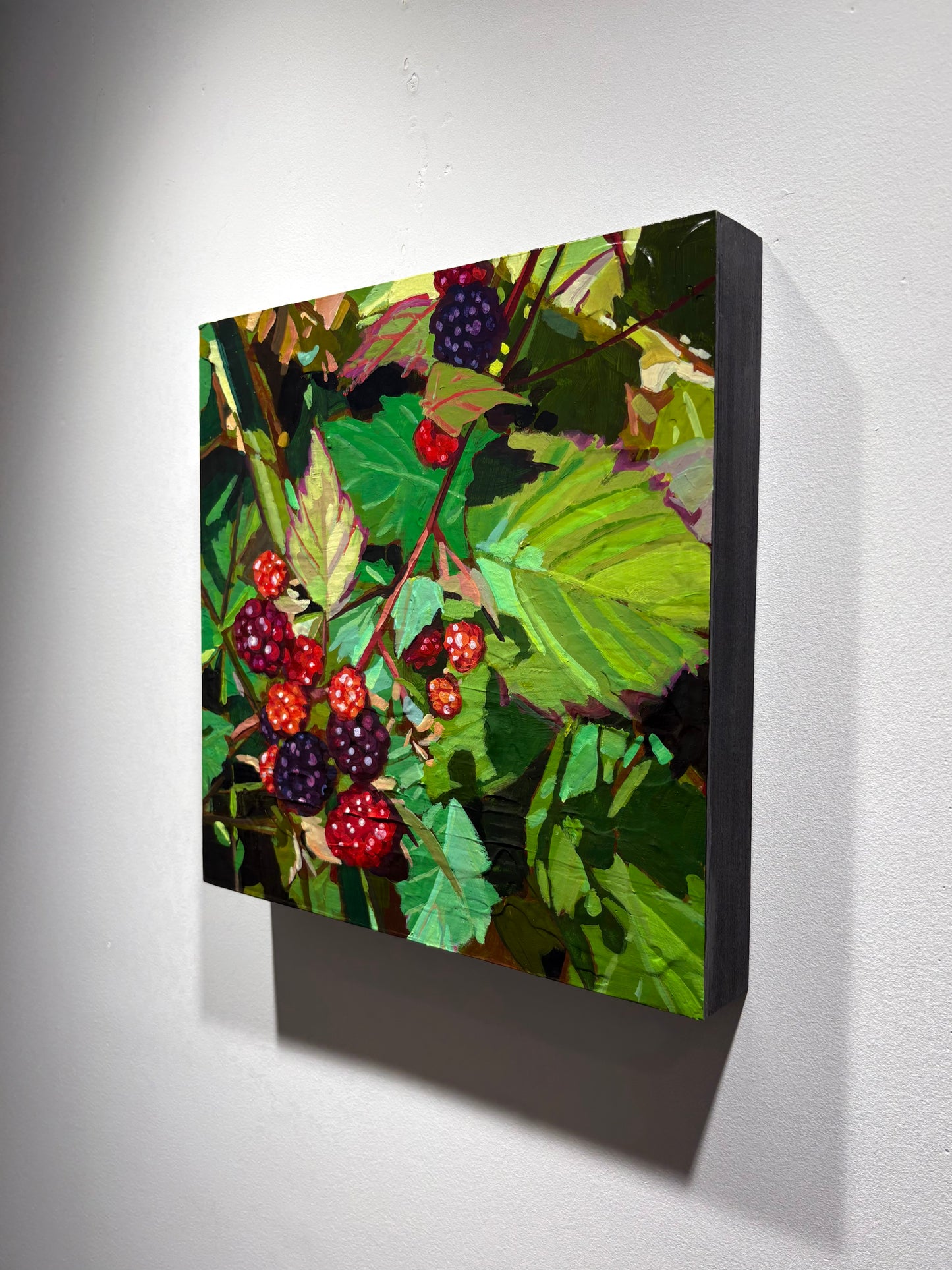 Blackberry Study