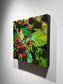 Blackberry Study