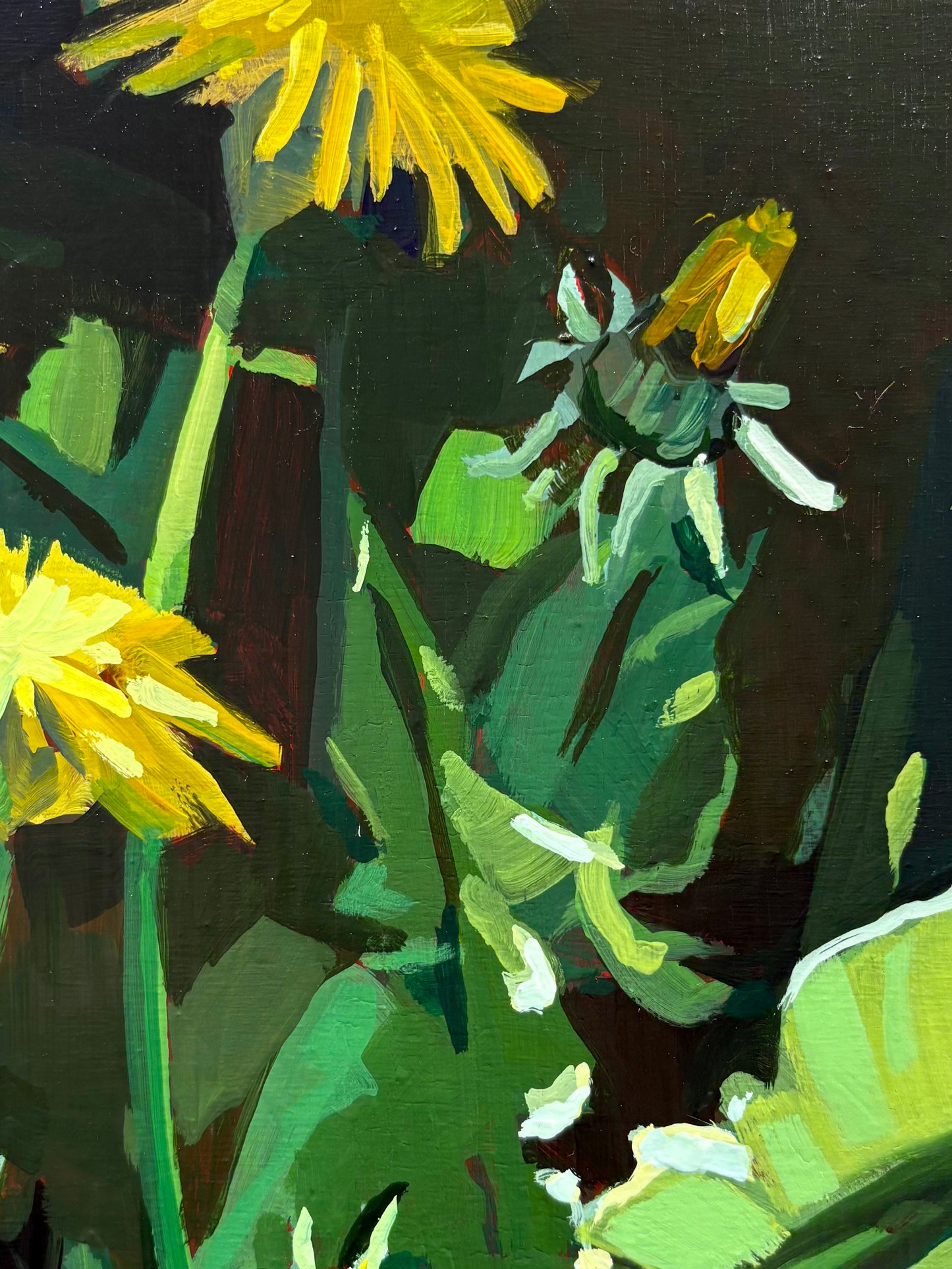 Dandelions