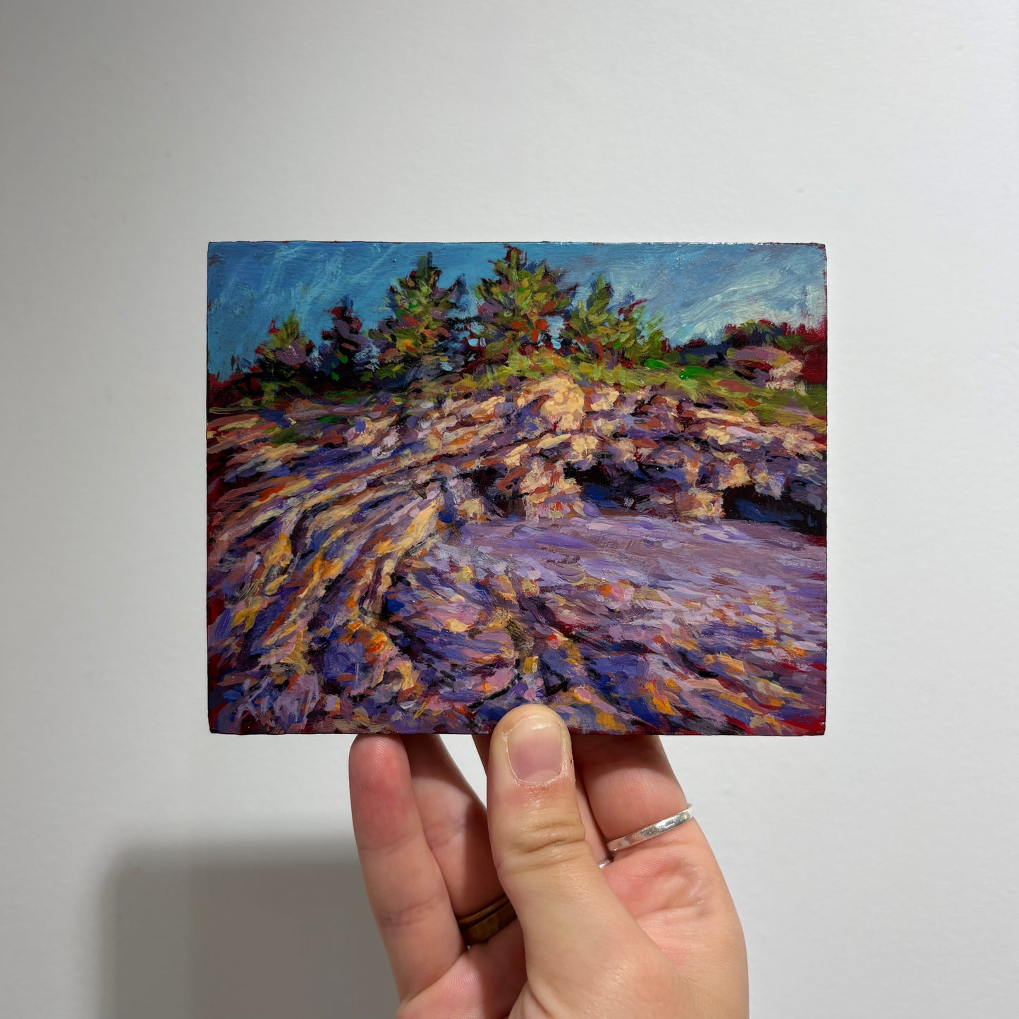 Sedimentary Study