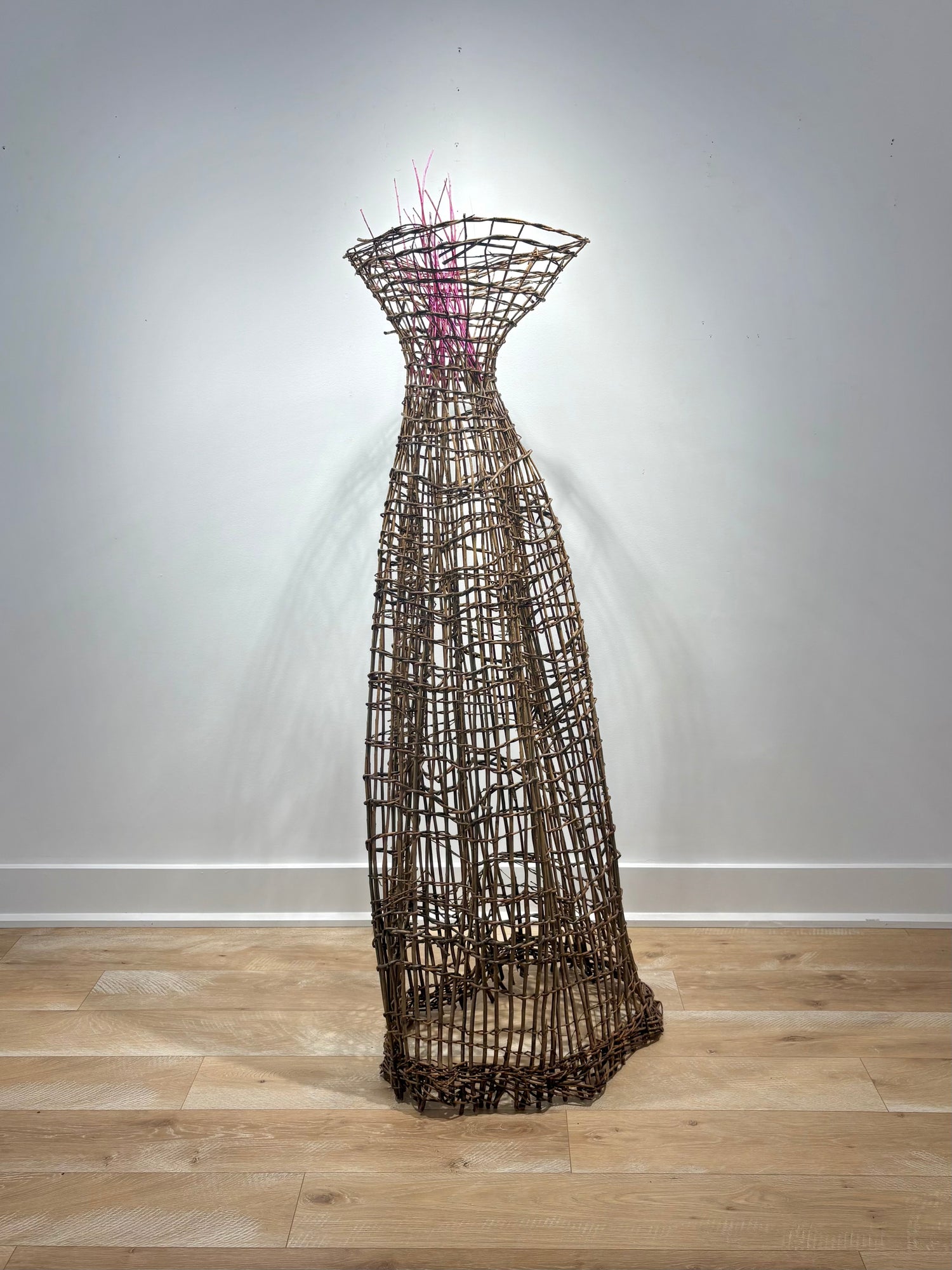 Dawn MacNutt