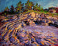 Sedimentary Study