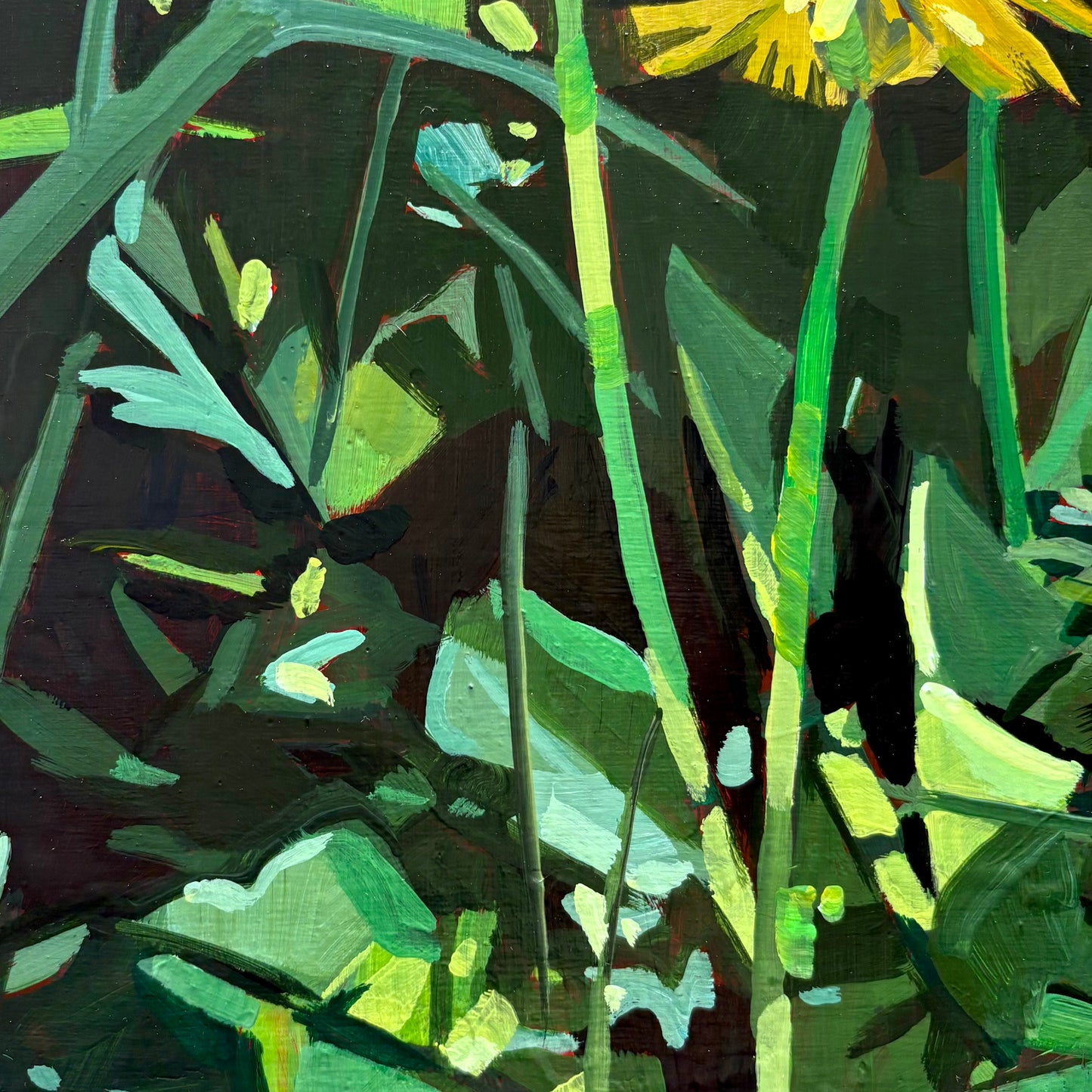 Dandelions