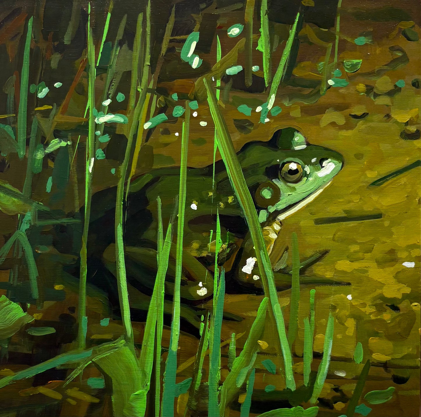 Mud Frog