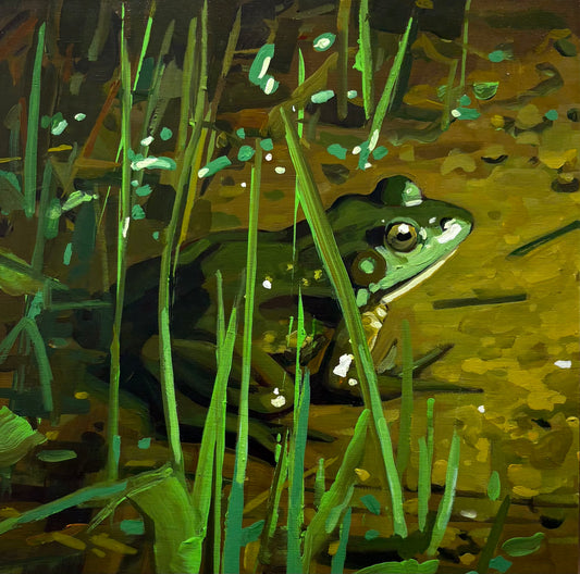 Mud Frog