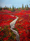 Autumn Trail