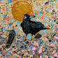 Feather and the Crow