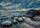 Back Cove Boulders