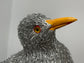 Harbour Master (Herring Gull)