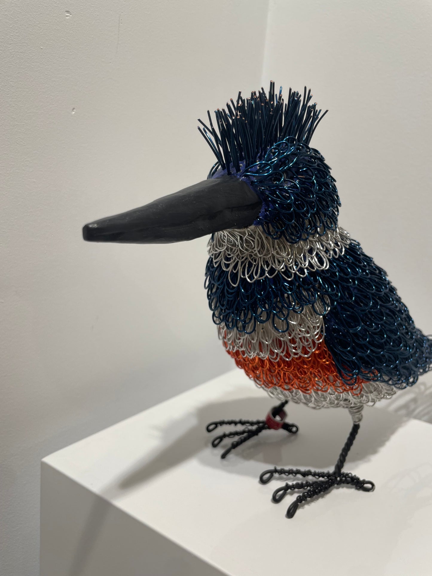 Kingfisher