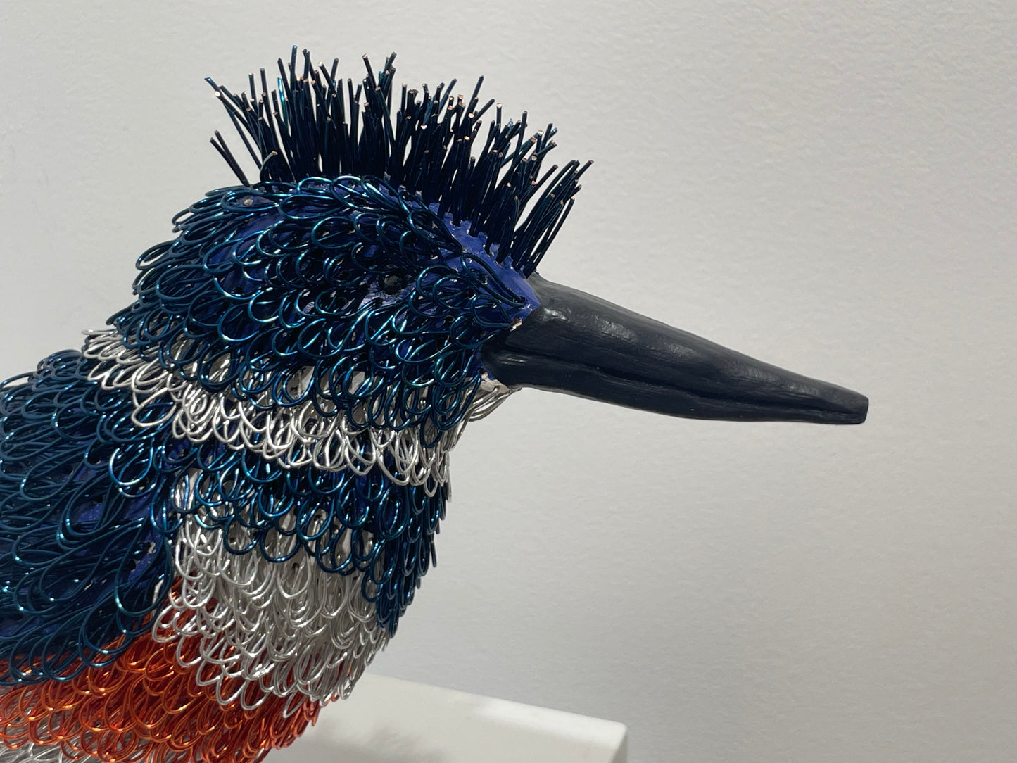Kingfisher