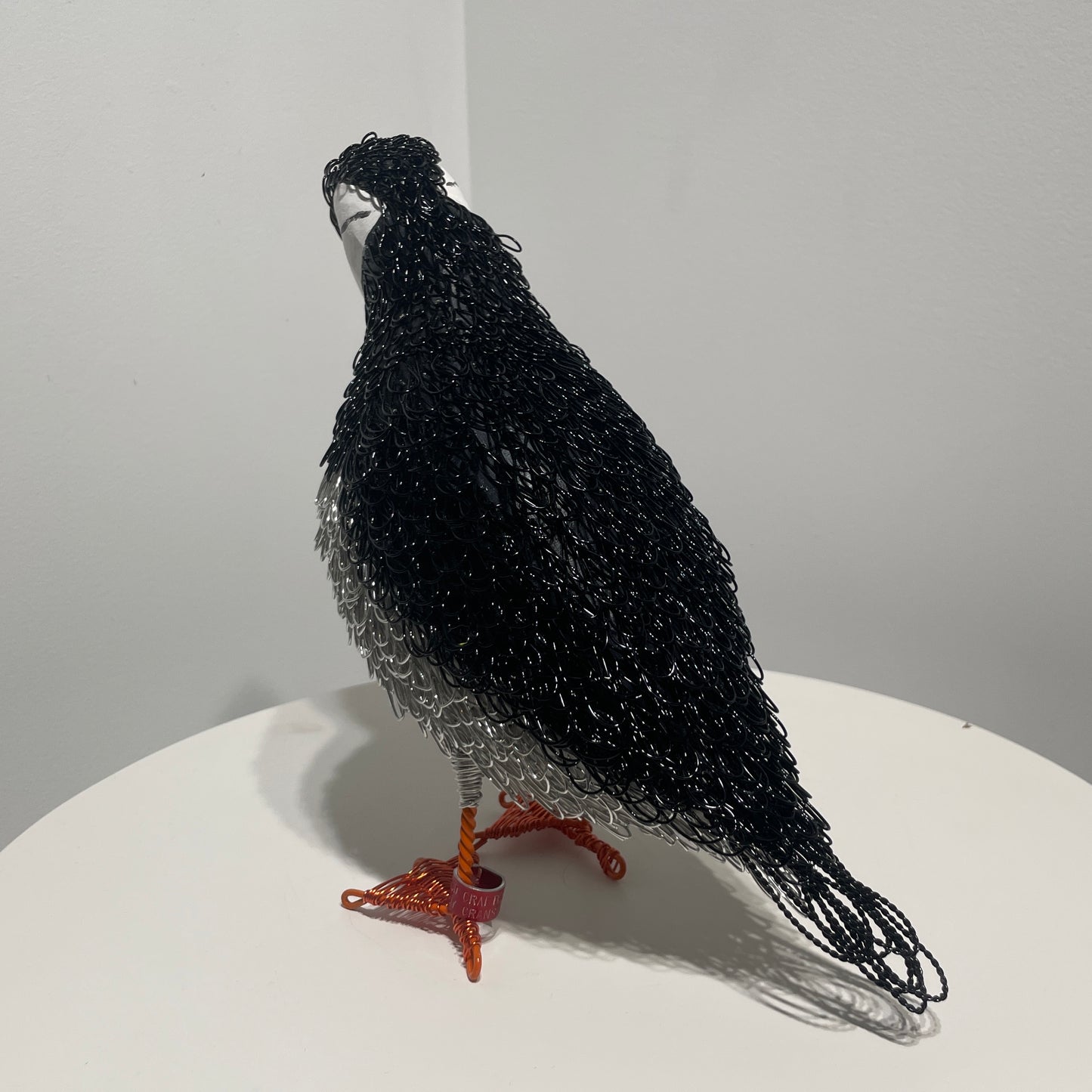 Neil (Puffin)
