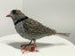 A bird sculpture made from interlocked metal rings and chains, standing on a white surface against a plain light gray background. The bird has a gray and silver body with a black neck, a red-orange beak, and orange-brown legs with a small red accent.