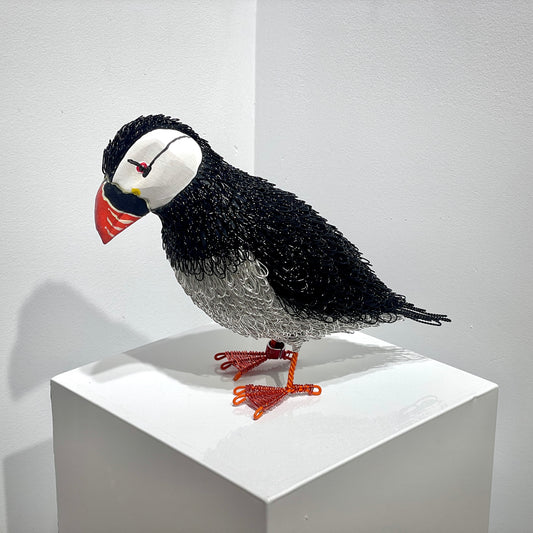 Phillip (Puffin)