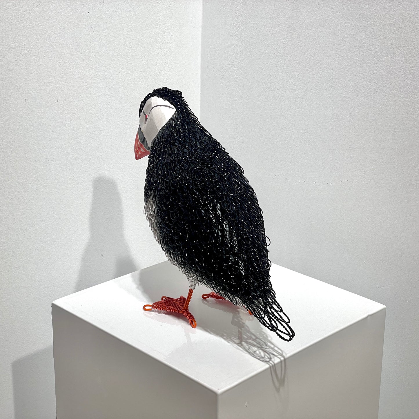 Phillip (Puffin)