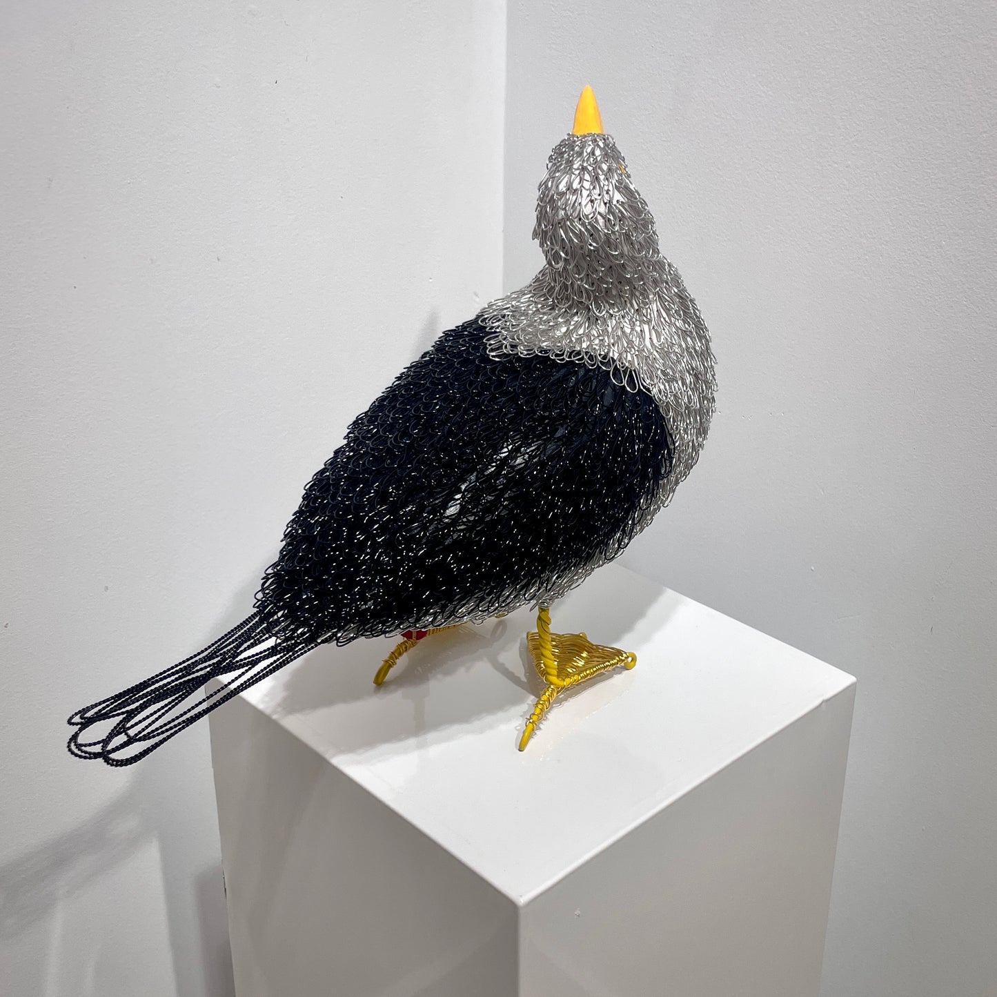 Georgie (Great Black Backed Gull)