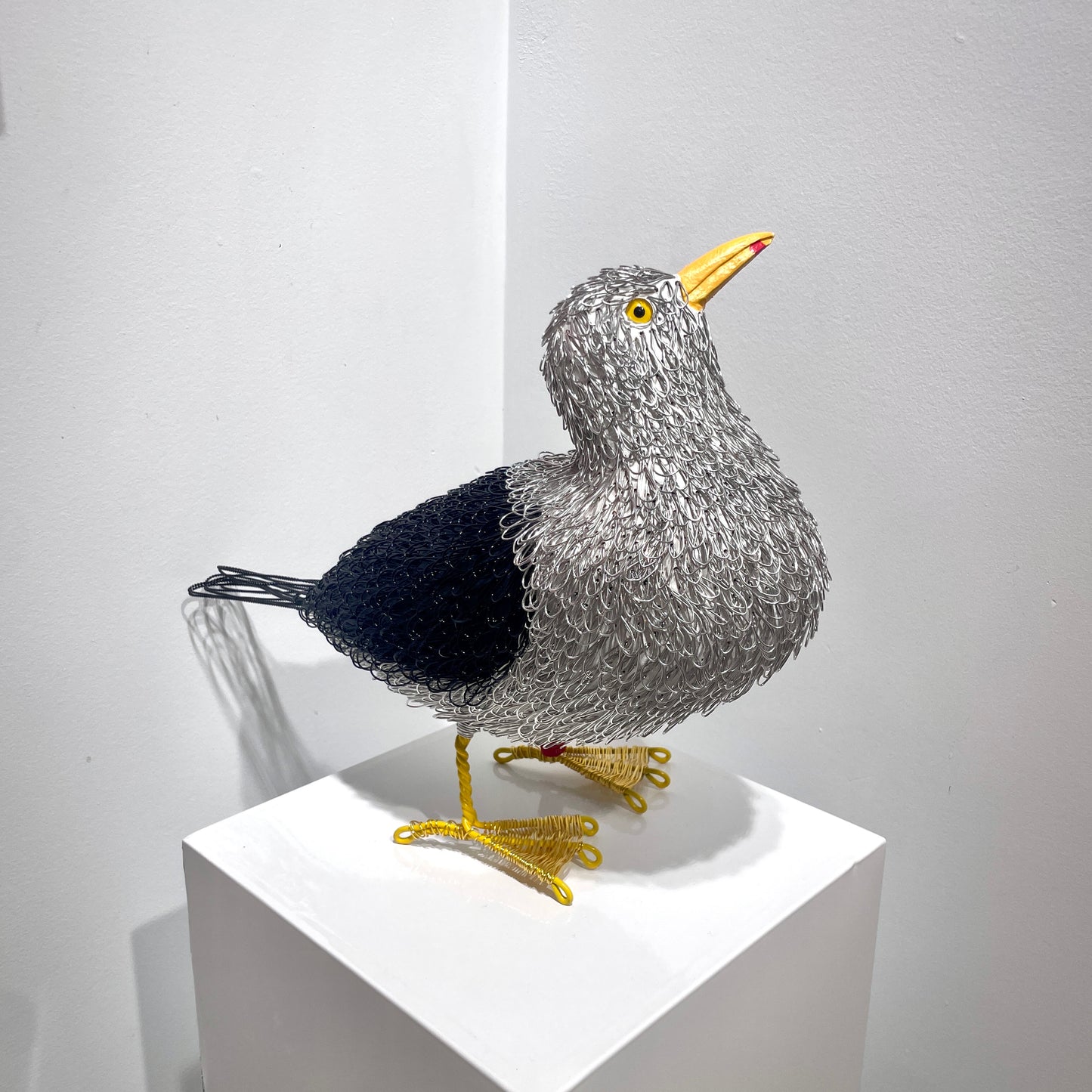 Georgie (Great Black Backed Gull)