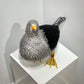 Georgie (Great Black Backed Gull)