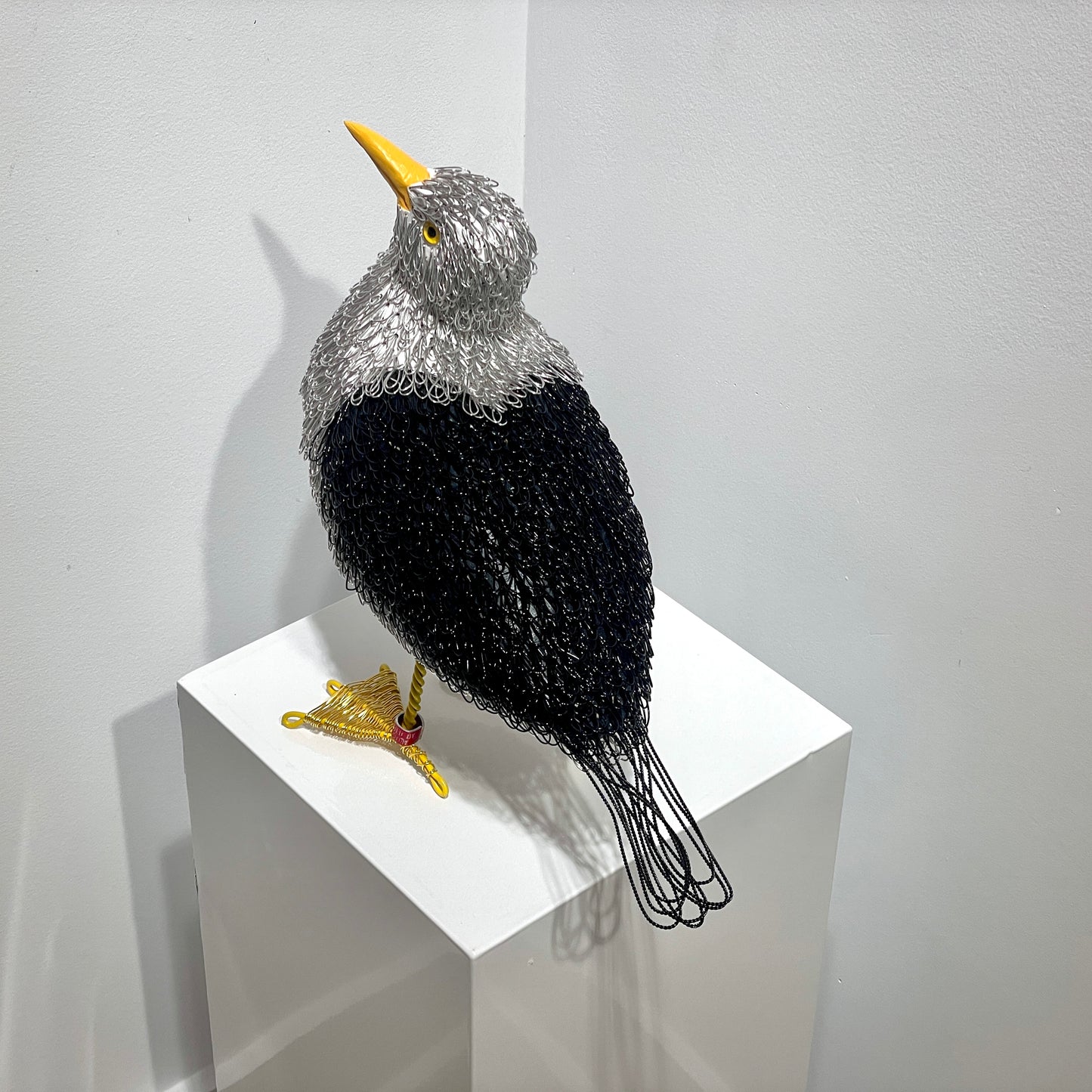Georgie (Great Black Backed Gull)