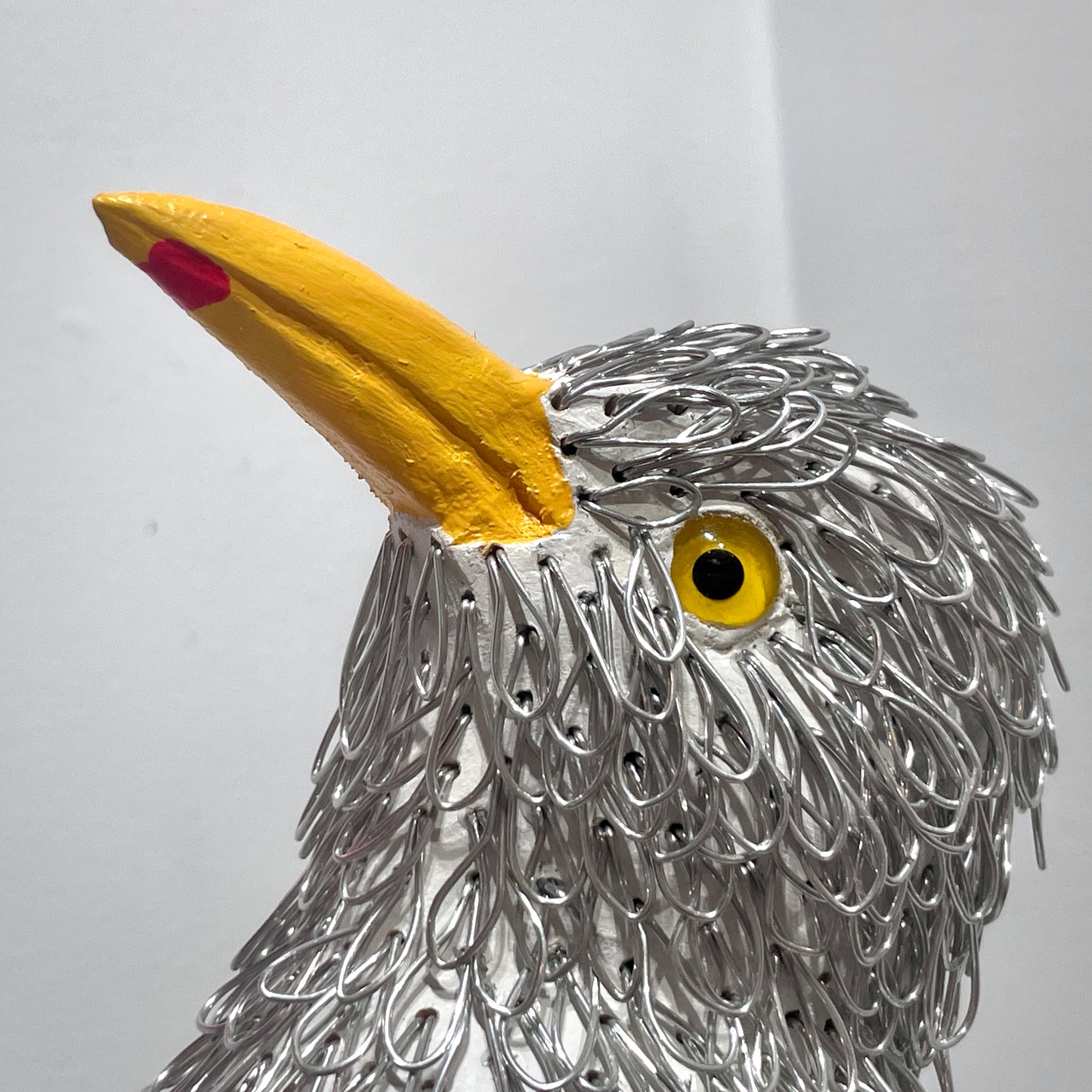 Georgie (Great Black Backed Gull)