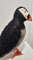 Petrie (Puffin)