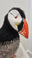Petrie (Puffin)