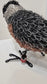Peanut (Chickadee)