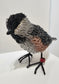 Peanut (Chickadee)