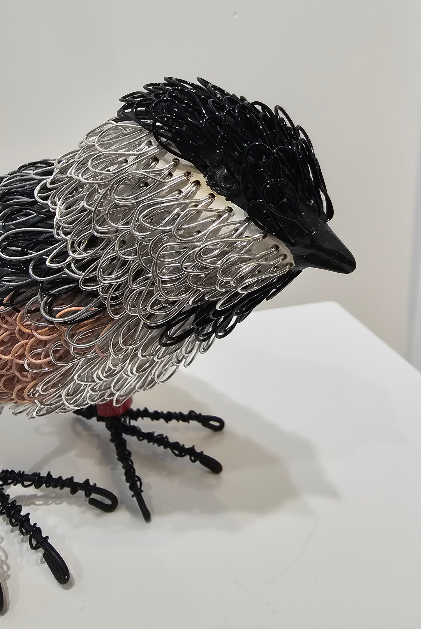 Peanut (Chickadee)